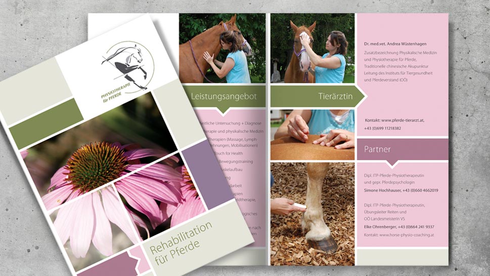 Folder – Rehabilitation für Pferde