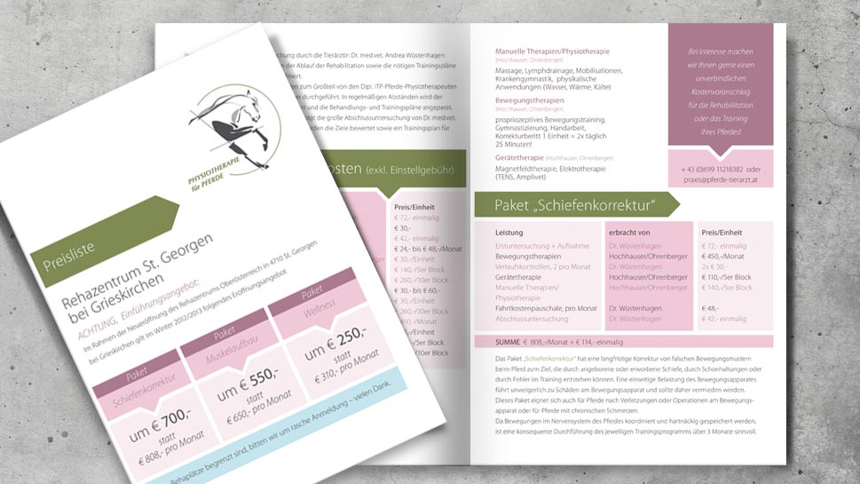 Folder – Rehabilitation für Pferde